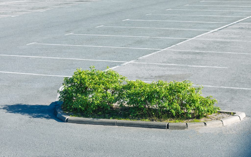 Parking Lot Island