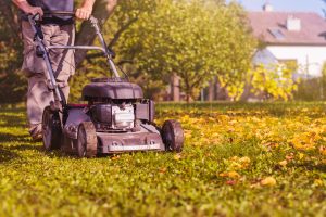 Residential Self-Propelled Mower
