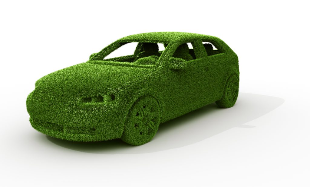 Grass Covered Car