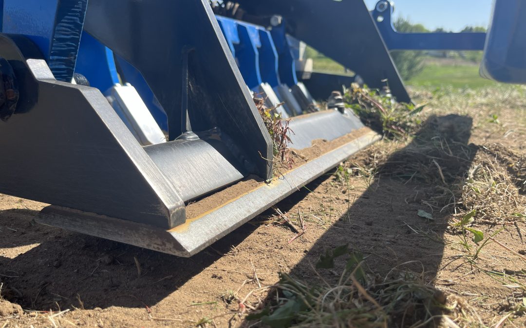 The Best Site Preparation Methods for a Successful Lawn Renovation