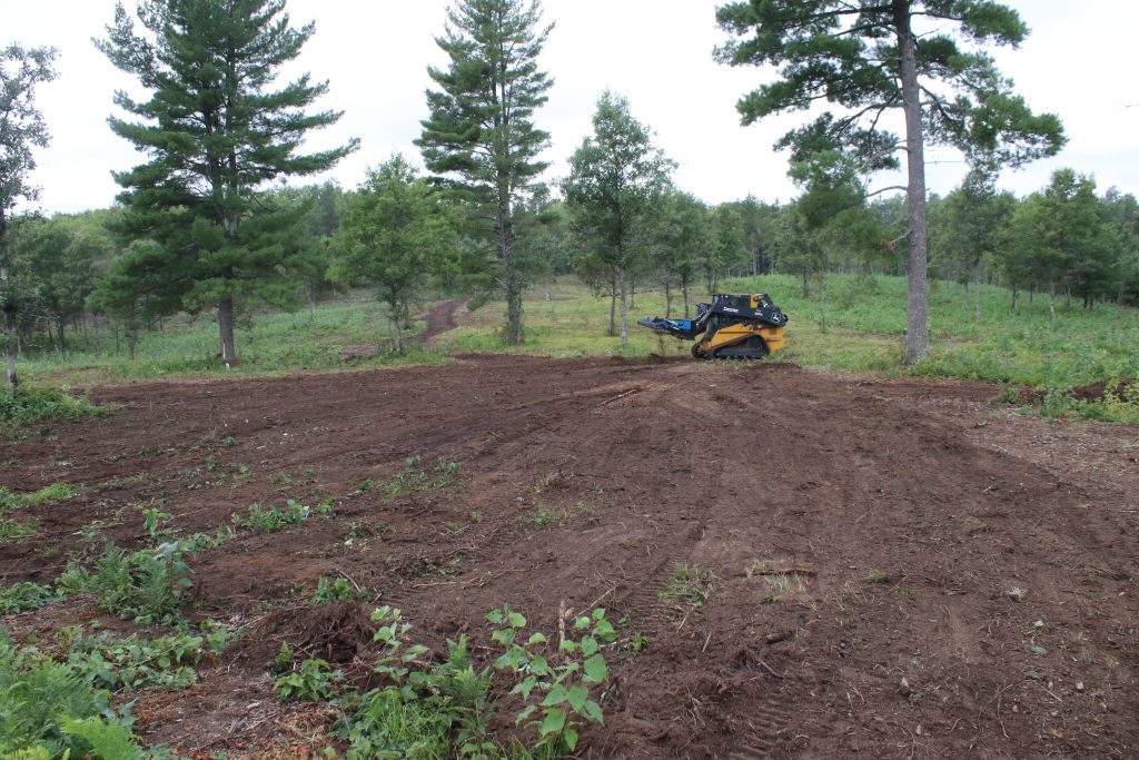 GreatER Bar Pasture Preparation
