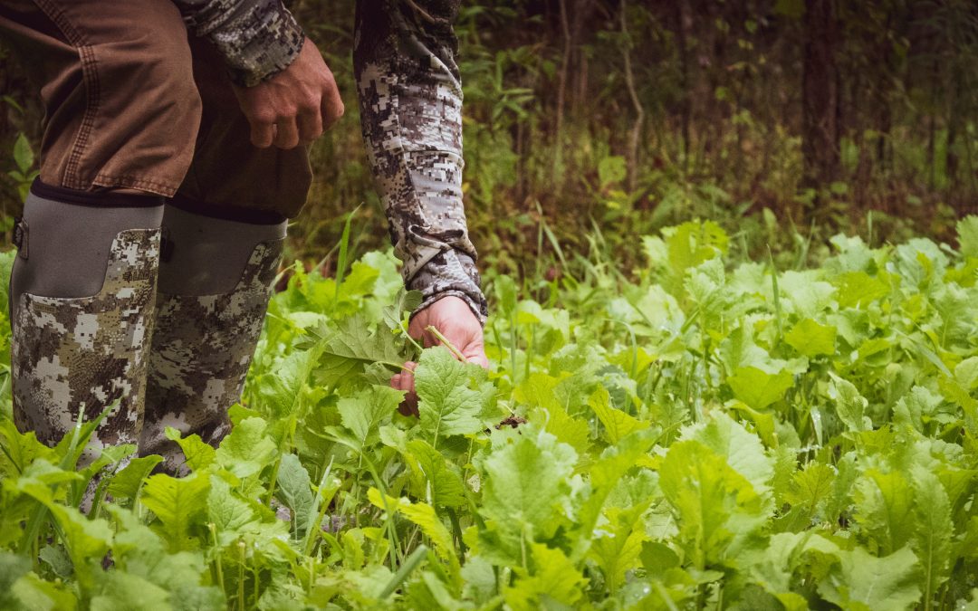 How to Prep a Food Plot or Pasture with the KAGE GreatER Bar