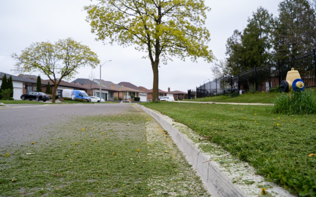 Mowing Near Streets: Why Controlling Grass Clippings Matters for Safety, Compliance, and Productivity