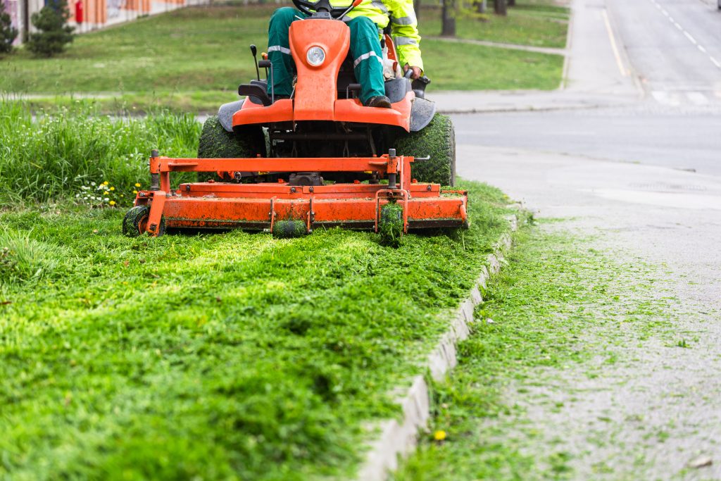 Grass in the Street